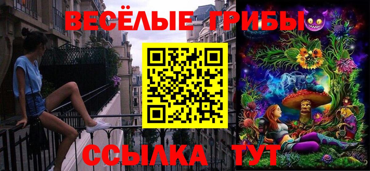 Галлюциногенные грибы мухоморы  Вход с VPN  наркошоп  Галлюциногенные грибы мухоморы  Острогожск 