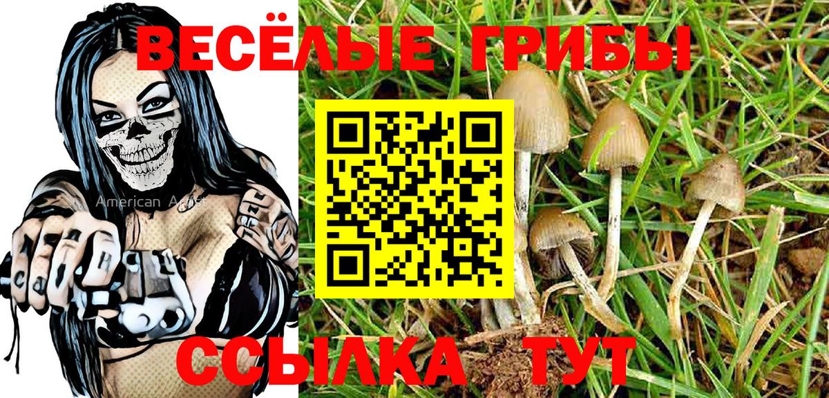 Острогожск  Вход с VPN  COCAIN  Меф   Гашиш 