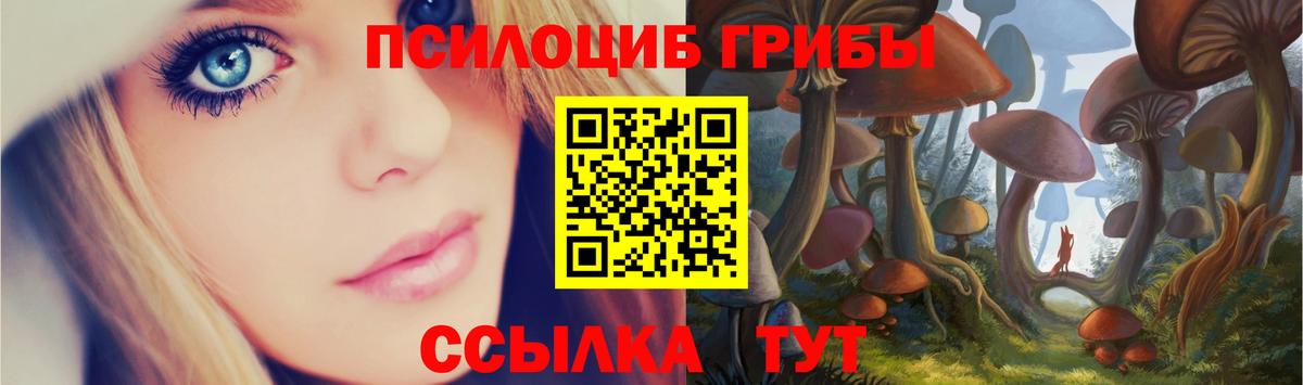 Псилоцибиновые грибы Magic Shrooms Острогожск